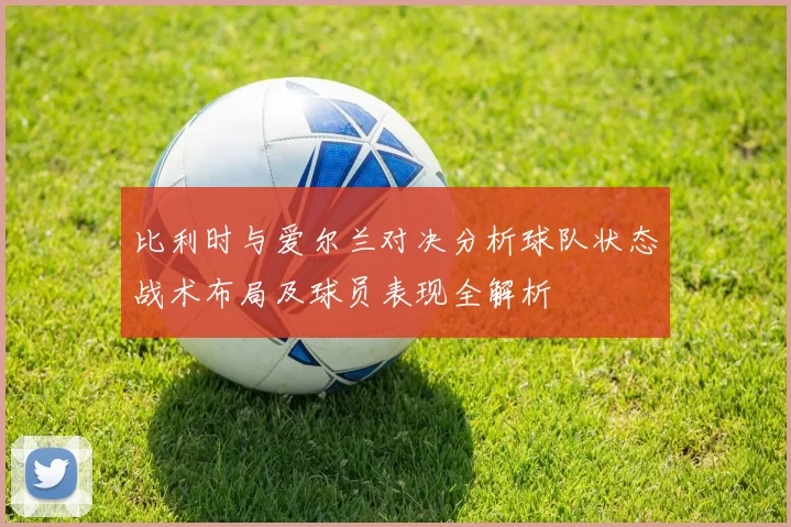 比利时与爱尔兰对决分析球队状态战术布局及球员表现全解析