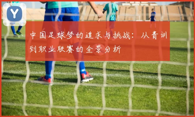 中国足球梦的追求与挑战：从青训到职业联赛的全景分析