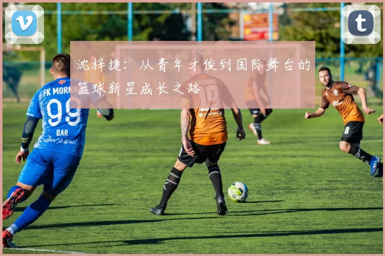 沈梓捷：从青年才俊到国际舞台的篮球新星成长之路